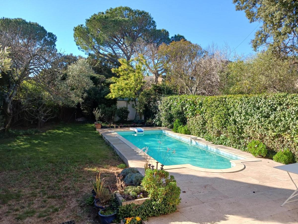 Charmant Studio: Quiet Oasis with Pool in Villeneuve-lès-Avignon Exterior photo